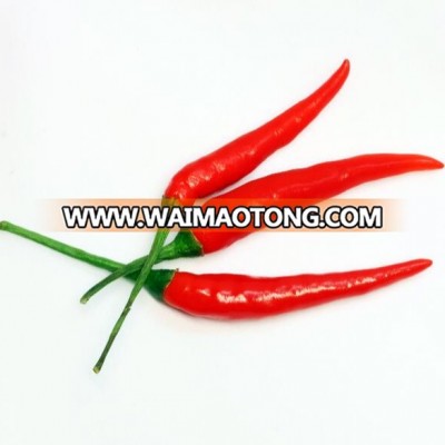 High Yield Hybrid Chilly Seeds High Quality Vegetable seeds