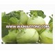 Early maturity strong growth green kohlrabi seeds