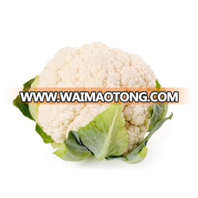 Vegetable seed Hybrid Cauliflower seed