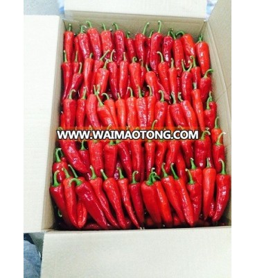 Hybrid Hot pepper seeds high yield vegetable seeds