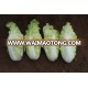 Chinese Cabbage Seeds