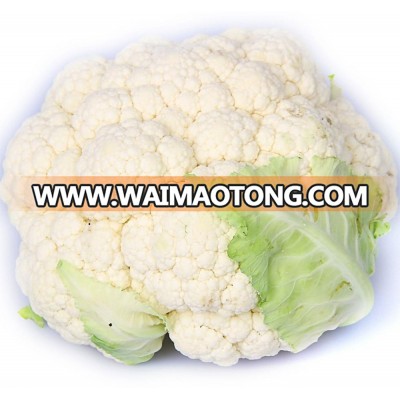 Cauliflower seeds f1 50 days periodic growth