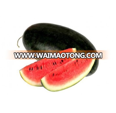 Water melon seed /Black Melon Seeds