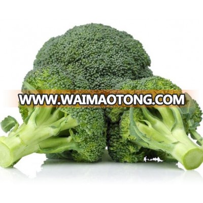 High yield Broccoli Seeds