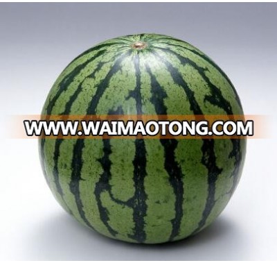 Water Melonseeds Hot Sell ice box 6-8kilograms WM168 WM169