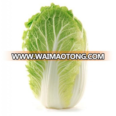 High Quality Chinese Cabbage Seeds