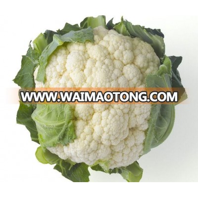 Hybrid Cauliflower Seeds