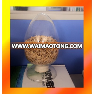 Hybrid rice seeds Japonica seeds