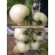 Snow white Indeterminate Tomato Seeds