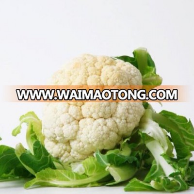 Hybrid Cauliflower seeds good quality